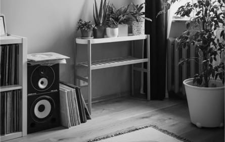 zx9 speakers